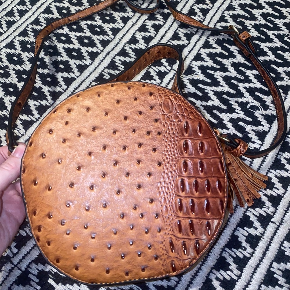 Brown alligator purse